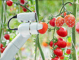 机器人智能农业中的无刷电机